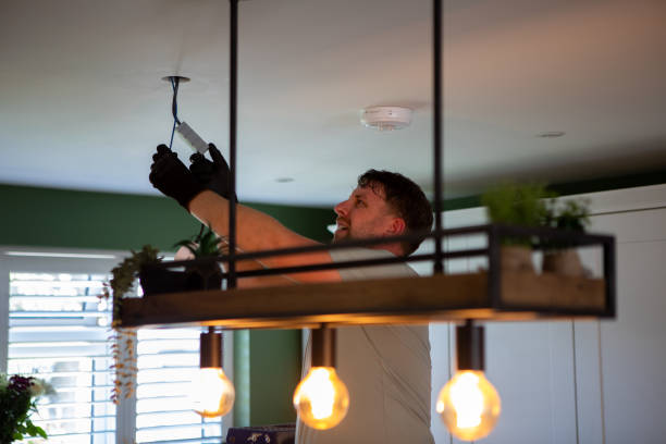 Best Electric Panel Repair  in South Alamo, TX