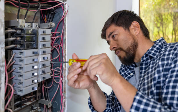Best Ceiling Fan Installation Electrician  in South Alamo, TX